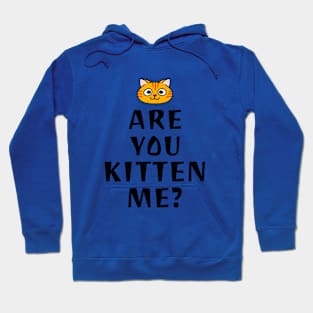 Are you kitten me Hoodie